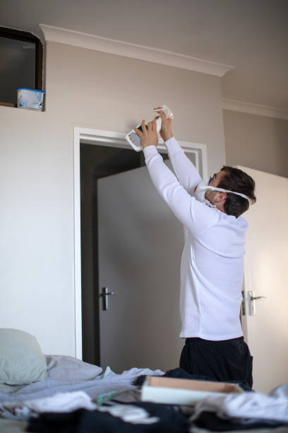 Best Black Mold Removal  in Northbrook, IL