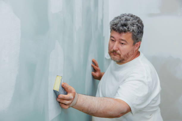 Best Residential Mold Inspection & Testing  in Northbrook, IL