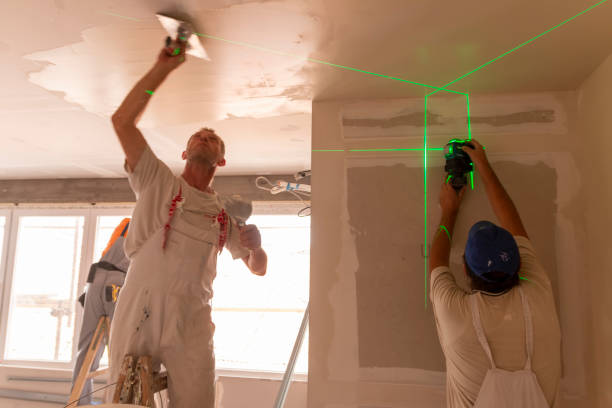  Northbrook, IL Mold Removal Pros