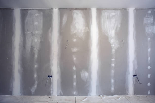 Reliable Northbrook, IL Mold Removal Solutions